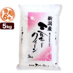 お米 5kg ミルキークイーン 新潟産 令和5年産 送料無料 （北海道、九州、沖縄除く）