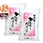 ショッピング新潟 お米 10kg ミルキークイーン 新潟産 令和5年産 5kg×2袋 送料無料（北海道、九州、沖縄除く）