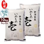 新潟産いのちの壱 米 お米 10kg　新米 令和7年産 新潟産 いのちの壱 10kg(5kg×2袋) 米 送料無料（北海道、九州、沖縄除く）