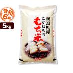 白米 5kg こがねもち米 令和6年産 新潟産 送料無料 (北海道、九州、沖縄除く)