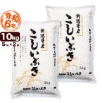 お米 10kg こしいぶき 令和5年産 新潟産 5kg×2袋 送料無料 （北海道、九州、沖縄除く）