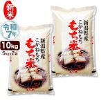 ショッピング米 5kg 送料無料 新米 令和7年産 新潟産 こがねもち米 10kg(5kg×2袋) 米 送料無料 （北海道、九州、沖縄除く）