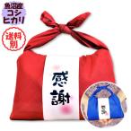 【感謝】魚沼産コシヒカリ バンダナ包み（300g×2袋入） 令和4年産 お米【送料別】