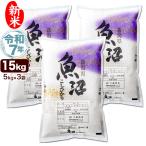 ショッピング新潟 新米 令和7年産 産直 魚沼産 コシヒカリ 15kg(5kg×3袋) 米 新潟産 送料無料（北海道、九州、沖縄除く）