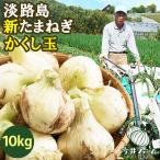 ショッピング玉ねぎ 新たまねぎ 淡路島 たまねぎ 10kg (5kg×2) かくし玉 玉ねぎ 玉葱 新玉葱 新玉ねぎ 新玉 今井ファーム ＃かくし玉10kg＃