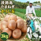  лук репчатый Awaji Island 3kg. расческа шар лук tama лук-батун шар лук порей #. расческа шар 3K#