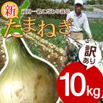 ＃訳あり 淡路島新玉ねぎ１０K＃