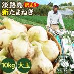  new onion Awaji Island onion 10kg with translation large sphere sphere leek onion new onion new sphere leek new sphere now . farm # large sphere onion 10K#