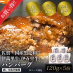 伊萬里牛ハンバーグ　120ｇ×5個