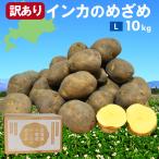 予約販売　北海道十勝産 インカのめざめ  Lサイズ10kg箱　九州、沖縄、北海道は別途送料