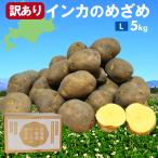 北海道十勝産 インカのめざめ 5kg箱　Lサイズ　栗のような甘さ　シチューや煮物に最適　ギフトにも♪