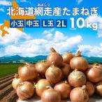 送料無料!!　北海道網走産玉葱10kg 小玉 L L大 2L 産地厳選　現地仕入　玉ねぎ 　たまねぎ　バーベキュー　ギフト　カレー　シチュー