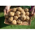 ���Ⴊ���� �k�C���Y �j�݈� �z�~�i 10kg ��150g�T�C�Y ��� �W���K�C��