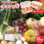  vegetable set 10 item and more direct delivery vegetable fresh .. length Ibaraki prefecture * Chiba prefecture production agriculture house san summer cool flight correspondence [ general / fixed period ]