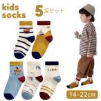  носки носки ребенок Kids мужчина девочка 5 пар комплект хлопок ребенок носки море. компания транспортное средство детский сад уход за детьми . ученик начальной школы посещение детского сада посещение школы обычно используя 14-22cm (SKA-15)