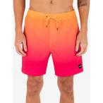 ショッピングビーチウェア ハーレー (Hurley) メンズ 海パン 水着・ビーチウェア Cannonball 17 Volley Shorts (Fahrenheit)