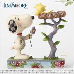ジムショア スヌーピーがウッドストックに花をプレゼントしている置物 スヌーピー 4054079 Nest Warming Gift-Snoopy with Woodstock in Nest Figurine JimShore