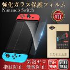 Switch ガラスフィルム スイッチ 保護 ブルーライトカット クリア 9H高硬度 0.33mm フッ素加工 撥水撥油 指紋防止 皮脂防止