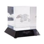 DC Collectibles The Dark Knight Rises: "The Bat" Glass Etching フィギュア おもちゃ 人形
