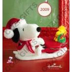 Swingin with Snoopy 2009 Hallmark Plush ぬいぐるみ 人形