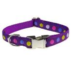 Sassy Dog Wear 13-20-Inch Purple/Multi Dot Dog Collar Medium
