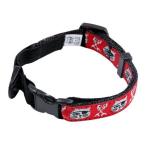 RC Pet Products 1/2-Inch Kitty Clip Cat Collar 8 by 10-Inch Pirate Cat