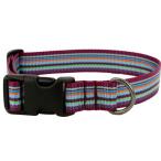 OllyDog Medium Downtown Collar Violet