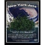 Steiner Sports NFL New York Jets Jets Meadowlands Game-Used Turf Plaque