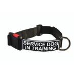 Dean and Tyler "Patch Collar" Nylon Dog Collar with SERVICE DOG IN TRAINING Patches - Black - Size