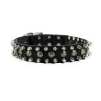 Dean and Tyler "BUSINESS END" Dog Collar with Nickel Spikes and Brass Studs - Black - Size 22-Inch