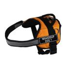 Dean &amp; Tyler DT Works Fun Harness "Whassup Dawg?" Pet Harness Medium Fits Girth Size 28-Inch to 38