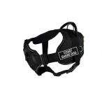 Dean &amp; Tyler DT Fun "Coast Guard Dog" Dog Harness with Padded Chest Piece Fits Girth Size 22-Inch