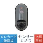 送料無料 SDカード録画式 センサーカメラ 電池式 夜間 人感センサー ライト 配線不要 簡単 取付 SD1000 リーベックス Revex