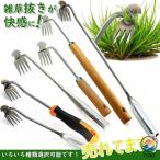 草抜き 草取り 草取り道具 雑草取り ガーデン 除草ツール 雑草除去ツール 除草アーティファクト 根こそぎ 2023 新しい 4 歯デュアルパーパス付き雑草抜き ハンド