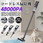 掃除機 コードレス 充電式 強力吸引 人気 サイクロン式 48000Pa 軽量ハンディ掃除機 5WAY USB-TypeC充電式 スティック 一人暮らし 省エネ 女性 車両用