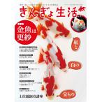 ki... жизнь (11) 2025 год 08 месяц номер ежемесячный aqua жизнь больше .