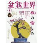  бонсай мир 2025 год 2 месяц номер 