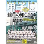 第107回全国高校野球選手権 地方大会展