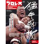  еженедельный Professional Wrestling больше . небо гора широкий ... память номер 2026 год 9 месяц номер 