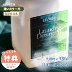 LIVRER Livre стирка Brothers темный & цвет для моющее средство 400ml выцветание предотвращение День отца 
