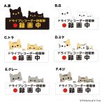 ドライブレコーダー搭載ステッカー ネコデザイン横長 録画中 8.8cm×17cm 6種類