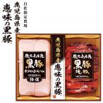 お歳暮 2025 ギフト 歳暮 ハム 焼豚 プリマハム 鹿児島県産 恵味の黒豚ギフト 型番:BP-41（R） イナゲヤお歳暮 御歳暮 いなげや 冬ギフト 人気 高級 お取り寄せ