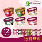 お中元 2025 ギフト 中元 アイスクリーム ハーゲンダッツ ハーゲンダッツ ミニカップ12個セット イナゲヤお中元 御中元 いなげや 夏ギフト 人気 高級 お取り寄せ