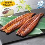 父の日 プレゼント ギフト 2025 グルメ 鰻 セット 食べ物 70代 60代 山田水産 鹿児島県産 霧島湧水鰻長焼2尾セット(化粧箱入) メッセージカード 高級 人気
