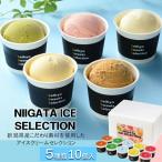 ギフト スイーツ アイスクリーム セイヒョー NIIGATA ICE SELECTION 10個入 プレゼント お取り寄せ 高級 人気