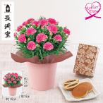 母の日 ギフト カーネーション 鉢植え スイーツ 花 カーネーション+長崎堂『栗入りみかさ』セット いなげや プレゼント 2026 70代 60代 メッセージカード 高級