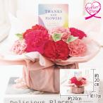 母の日 ギフト カーネーション アレンジメント 花 アレンジメント『サンクスマム ピンク』 いなげや プレゼント 2026 70代 60代 メッセージカード 高級 人気