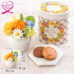母の日 ギフト プリザーブドフラワー スイーツ 花 ミニプリザ・東京フラワーブーケ『クッキーアソート』セット いなげや プレゼント 2026 70代 60代
