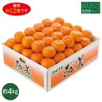  подарок по случаю конца года 2025 подарок лет . фрукты мандарин Ehime префектура производство обеденный стол отвечающий . select мир прекрасный (...) мандарин inageya подарок по случаю конца года . лет ..... зима подарок популярный высококлассный ваш заказ 