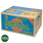 ショッピングみかん お歳暮 2025 ギフト 歳暮 フルーツ みかん 愛媛県産 越智みかん イナゲヤお歳暮 御歳暮 いなげや 冬ギフト 人気 高級 お取り寄せ